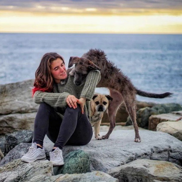 Su una scogliera in riva al mare al tramonto, due cani giocano con la loro umana